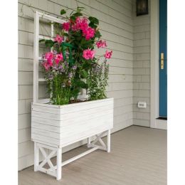 Raised White Beach Wood Eucalyptus Planter with Trellis