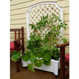 Indoor/Outdoor White Plastic Self Watering Planter with Trellis on Wheels