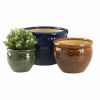 Summerfield Terrace Designer Ceramic Plant Pots